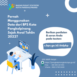 Implementation of the 2022 Data Needs Survey (SKD) in Pangkalpinang Municipality