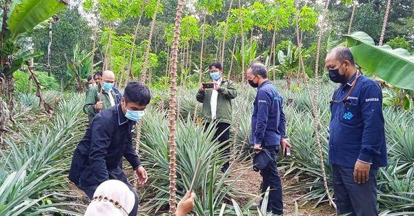 Survei Ubinan di RT 4 RW 2 Kelurahan Tuatunu Indah Kecamatan Gerunggang