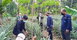 Tile Survey in RT 4 RW 2 Tuatunu Indah Village, Gerunggang District