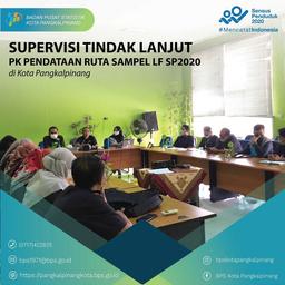 Tindak Lanjut Penjaminan Kualitas (PK) Pendataan Ruta Sampel LF SP2020