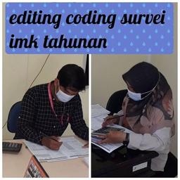 Editing Coding Annual IMK Survey