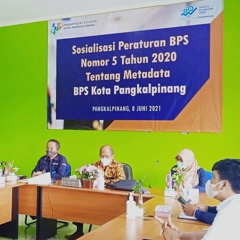 Sosialisasi Peraturan BPS Nomor 5 Tahun 2020 Tentang Metadata