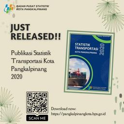 Pangkalpinang City Statistics Publication Release 2020